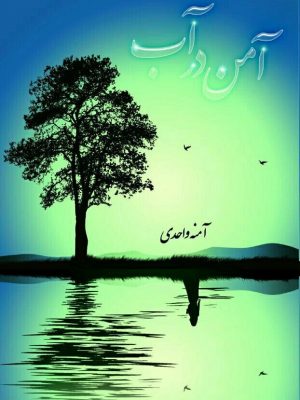 تصویر جلد آمن در اب