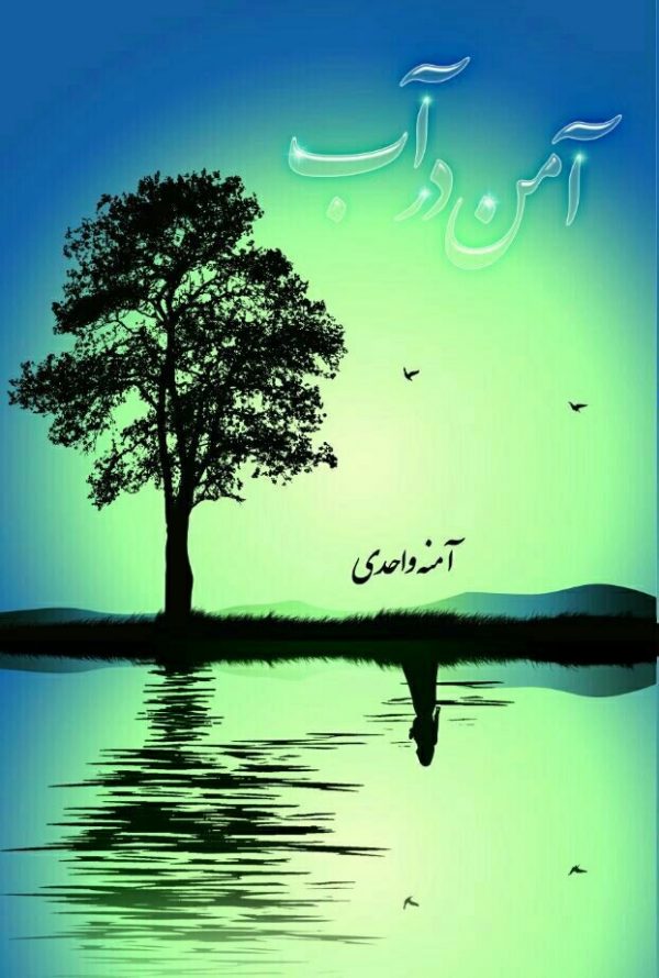 تصویر جلد آمن در اب